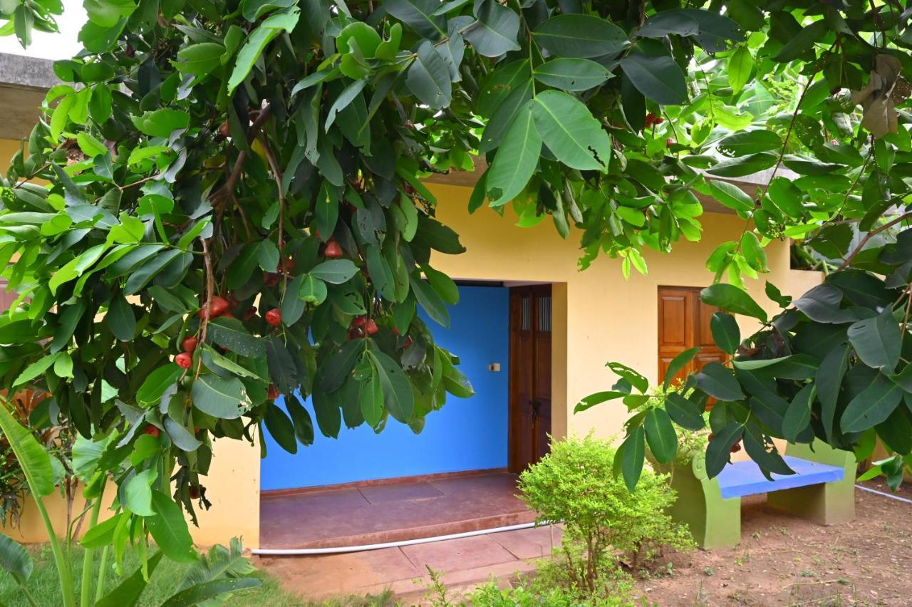 Les Boganveillea Heritage Guest House Auroville Eksteriør bilde